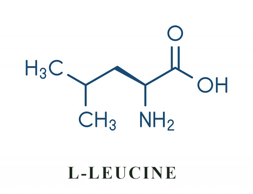 Leucine